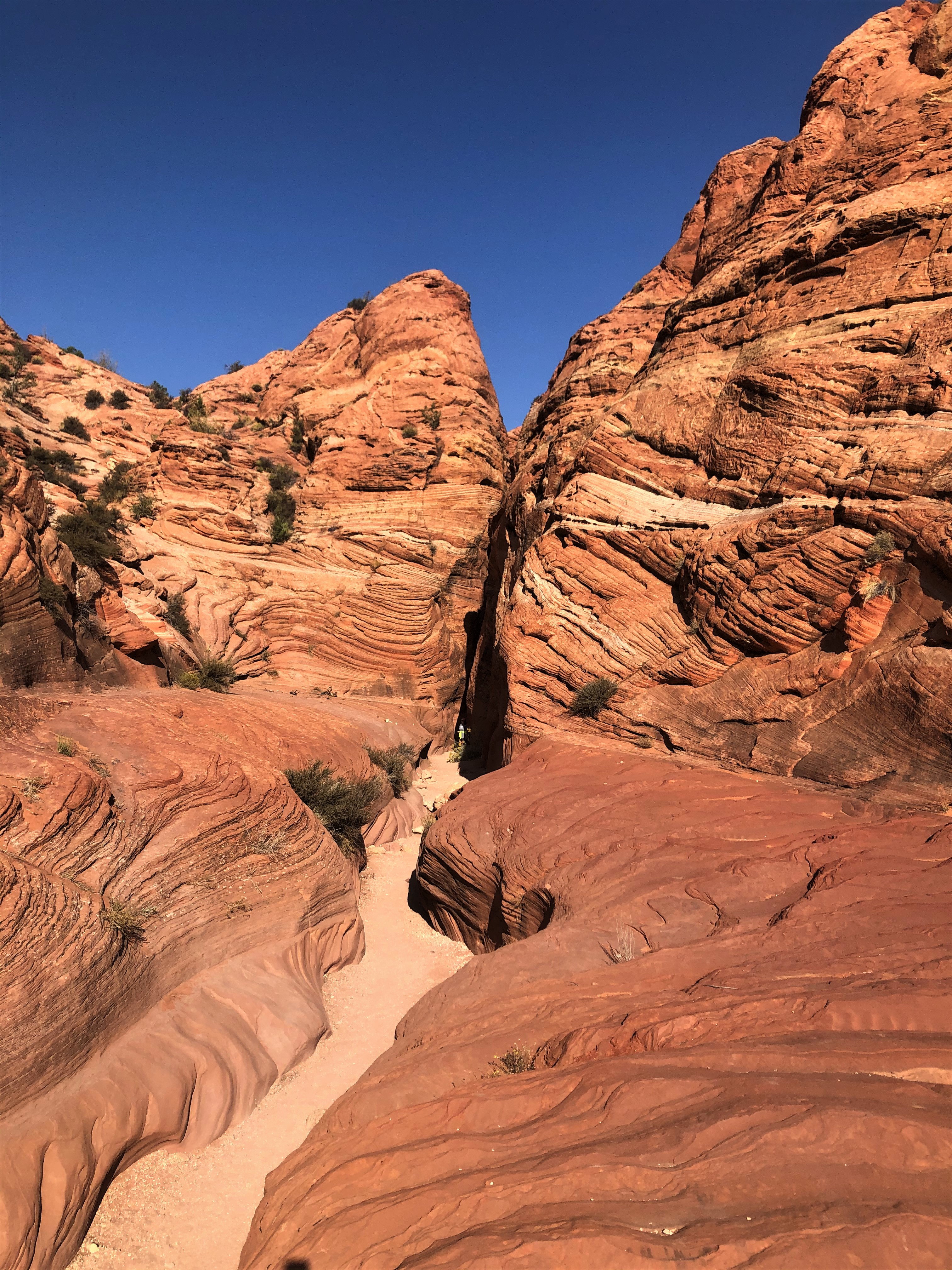 Vermillion Cliffs NM